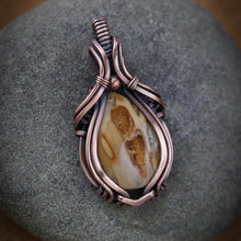 Load image into Gallery viewer, Petrified palm wood with druzy