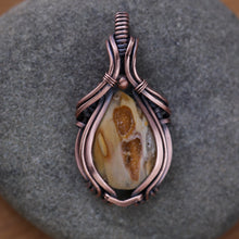 Load image into Gallery viewer, Petrified palm wood with druzy