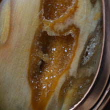 Load image into Gallery viewer, Petrified palm wood with druzy