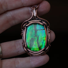 Load image into Gallery viewer, Canadian Ammolite