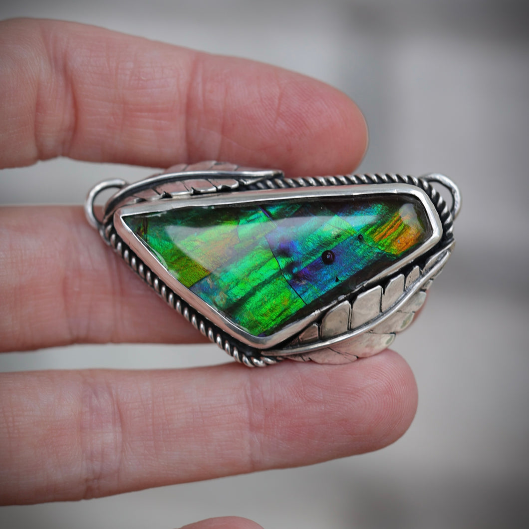 Ammolite