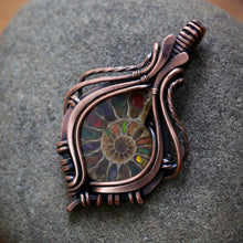 Load image into Gallery viewer, Ammolite inlay in Ammonite
