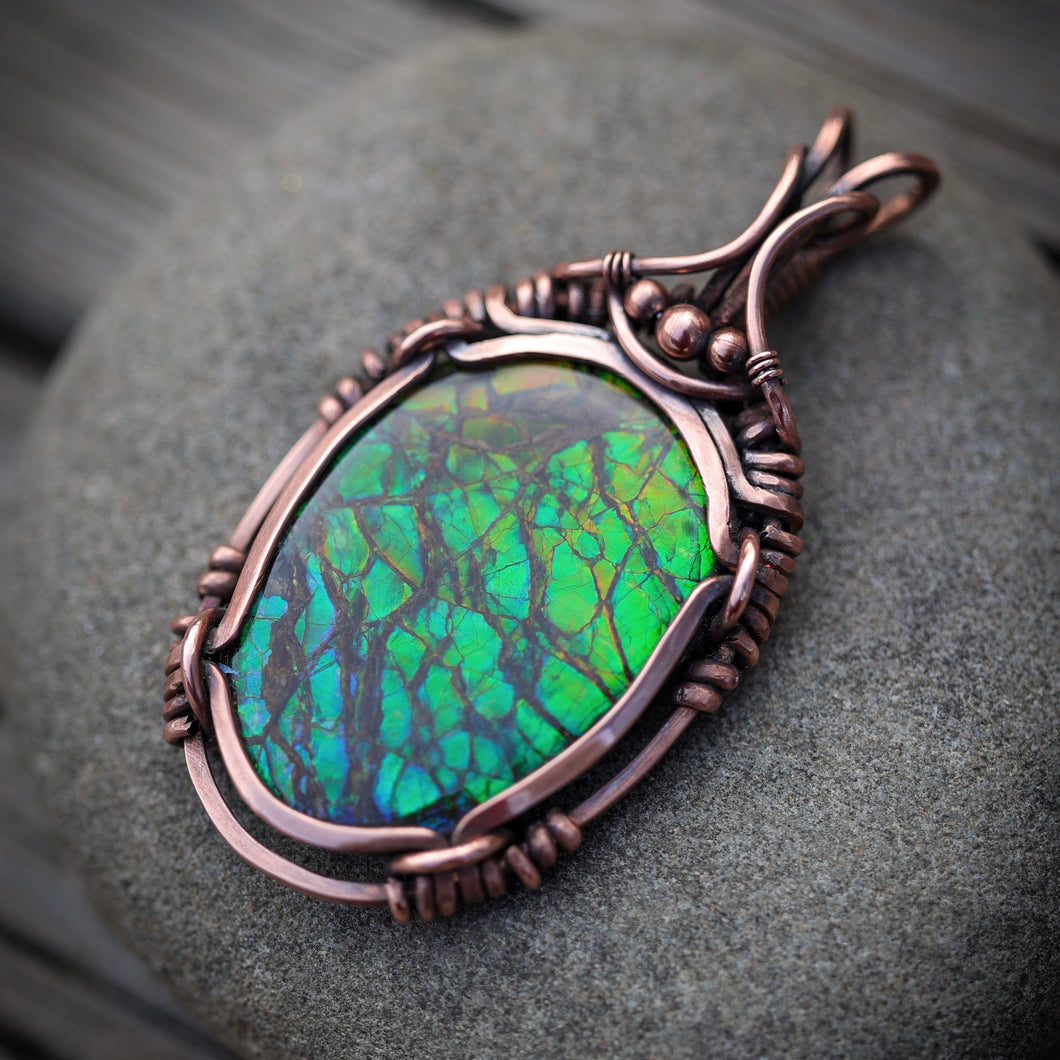 Dragon Scale Ammonite