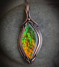 Load image into Gallery viewer, Ammolite
