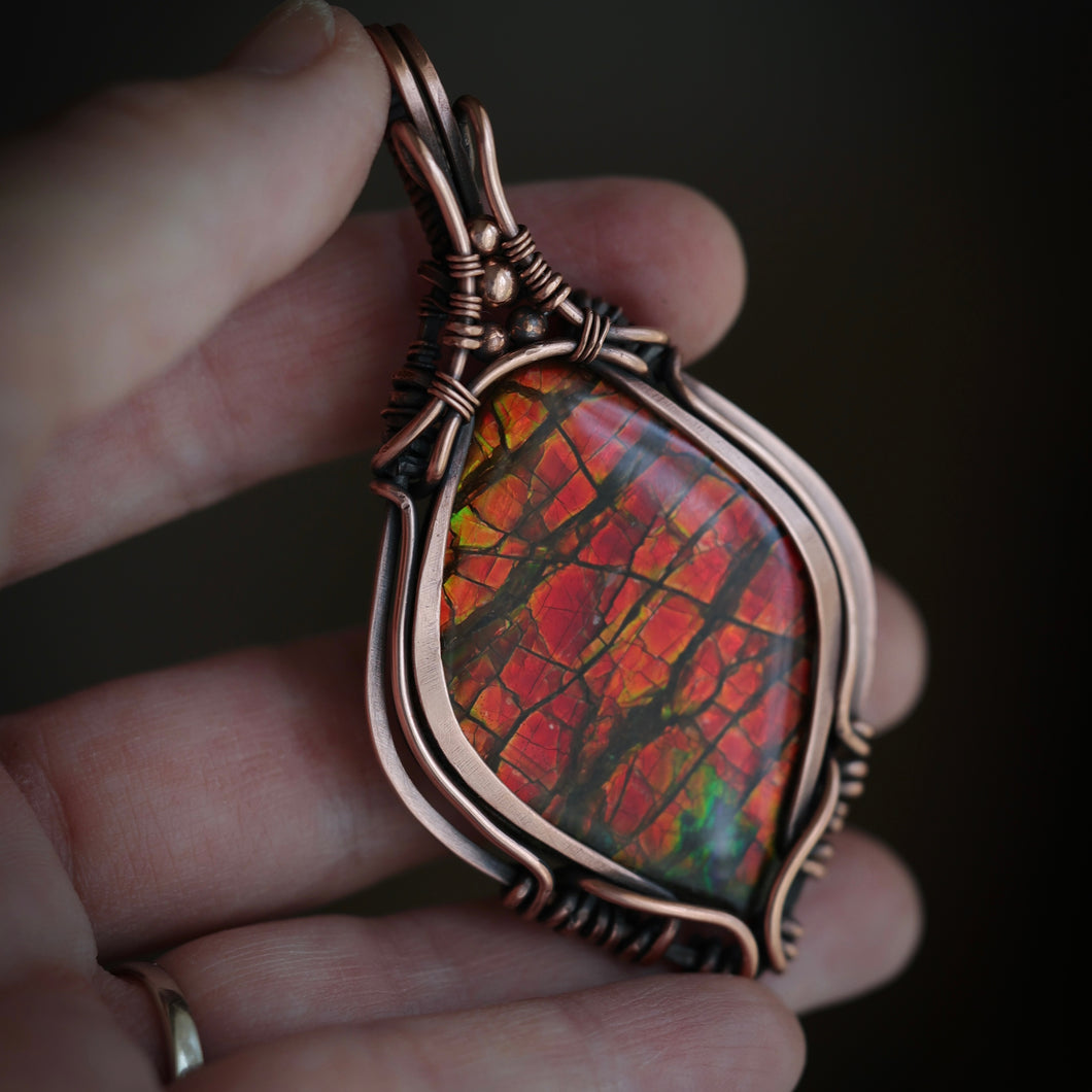 Canadian Ammolite