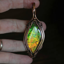 Load image into Gallery viewer, Ammolite
