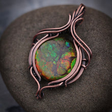 Load image into Gallery viewer, Canadian Ammolite
