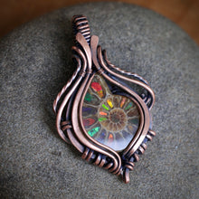 Load image into Gallery viewer, Ammolite inlay in Ammonite
