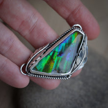 Load image into Gallery viewer, Ammolite
