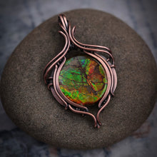 Load image into Gallery viewer, Canadian Ammolite
