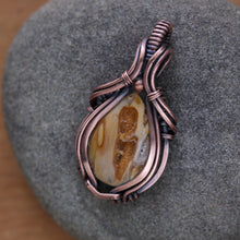 Load image into Gallery viewer, Petrified palm wood with druzy
