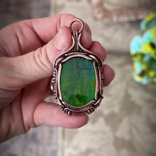 Load and play video in Gallery viewer, Canadian Ammolite
