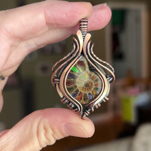 Load and play video in Gallery viewer, Ammolite inlay in Ammonite
