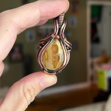 Load and play video in Gallery viewer, Petrified palm wood with druzy
