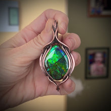 Load and play video in Gallery viewer, Canadian Ammolite
